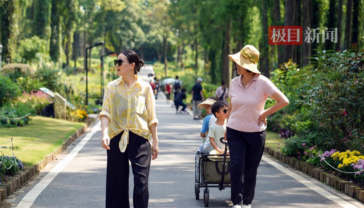 必发bifa365